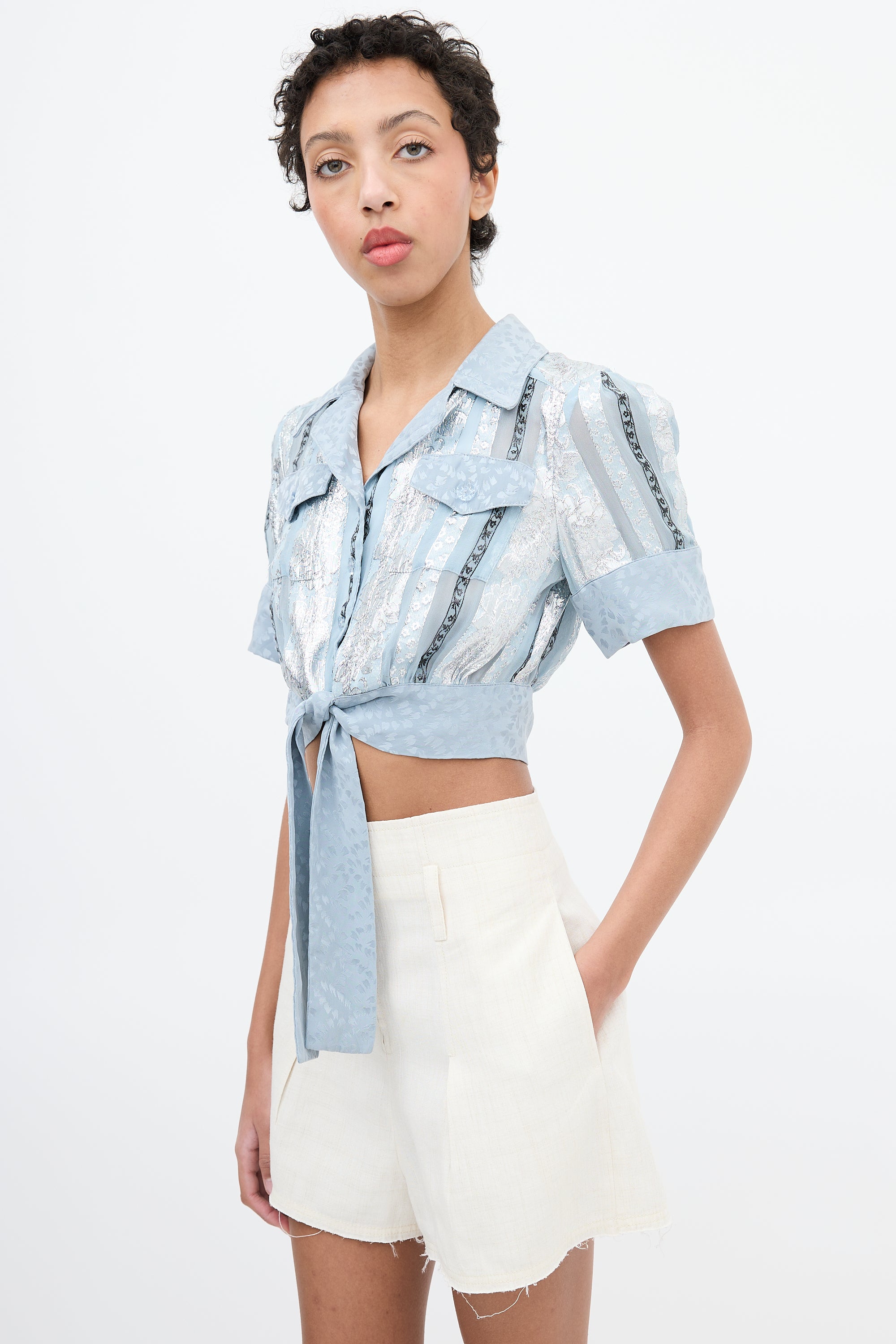 Anna Sui Light Blue & Multi Jacquard Stripe Cropped Shirt