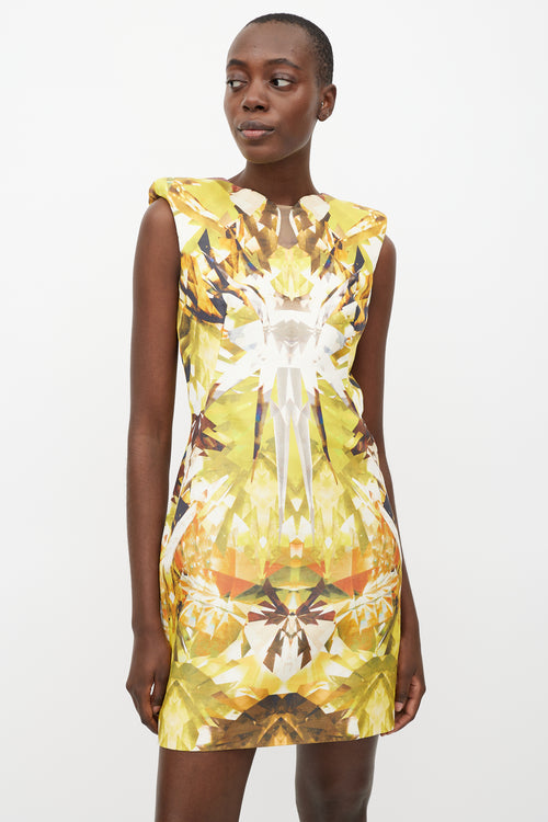 Alexander McQueen SS 2009 Crystal Printed Dress