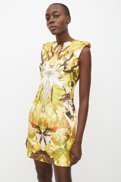 Alexander McQueen SS 2009 Crystal Printed Dress