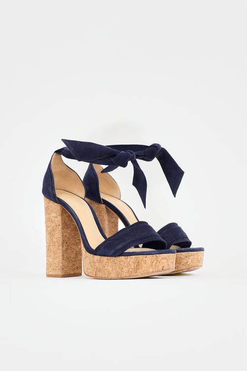 Alexandre Birman Suede Celine Platform Sandal