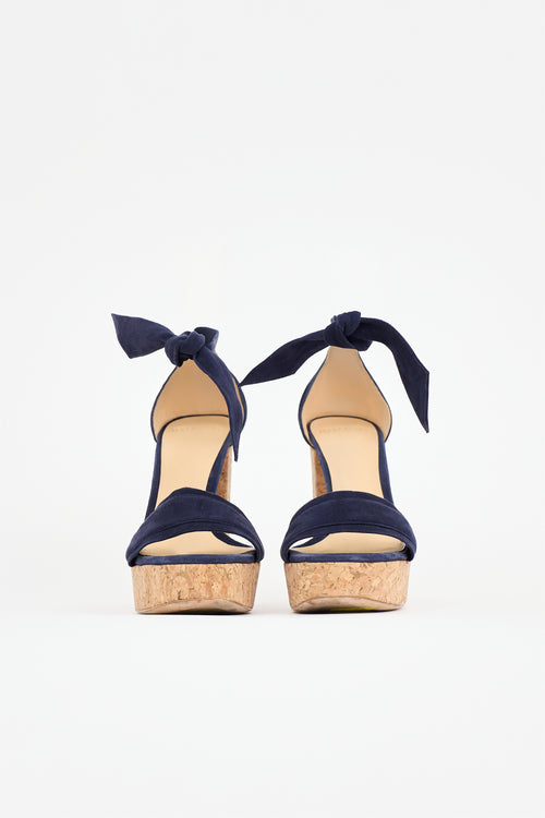 Alexandre Birman Suede Celine Platform Sandal