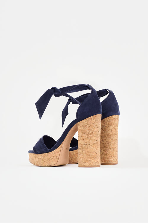 Alexandre Birman Suede Celine Platform Sandal