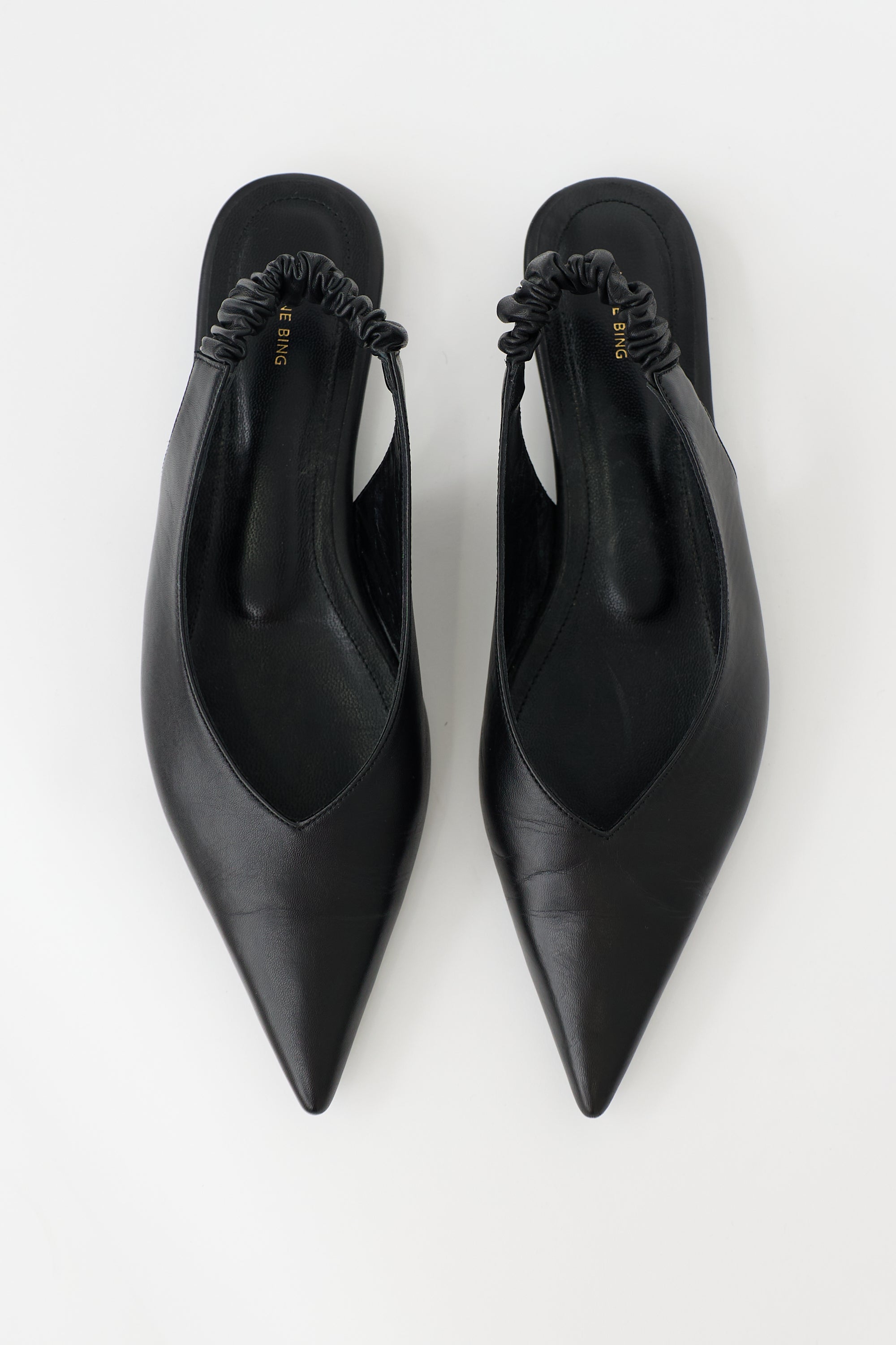 Anine Bing Leather Lyla Slingback Mule