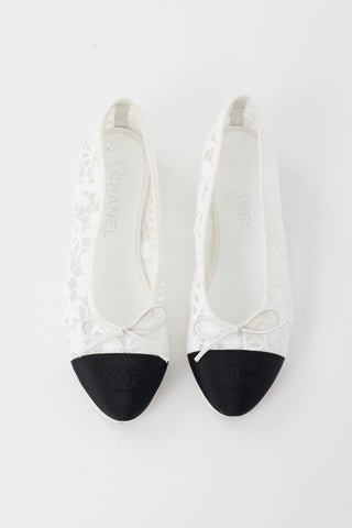 Lace CC Ballet Flat