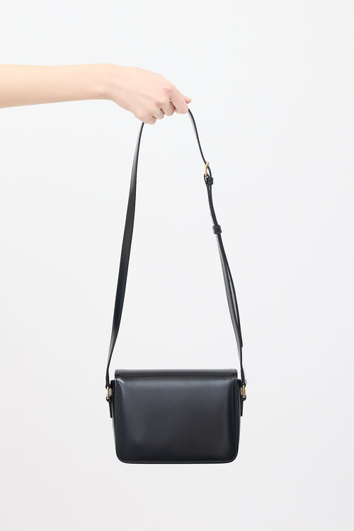 Celine 2021 Leather Triomphe Classique Bag