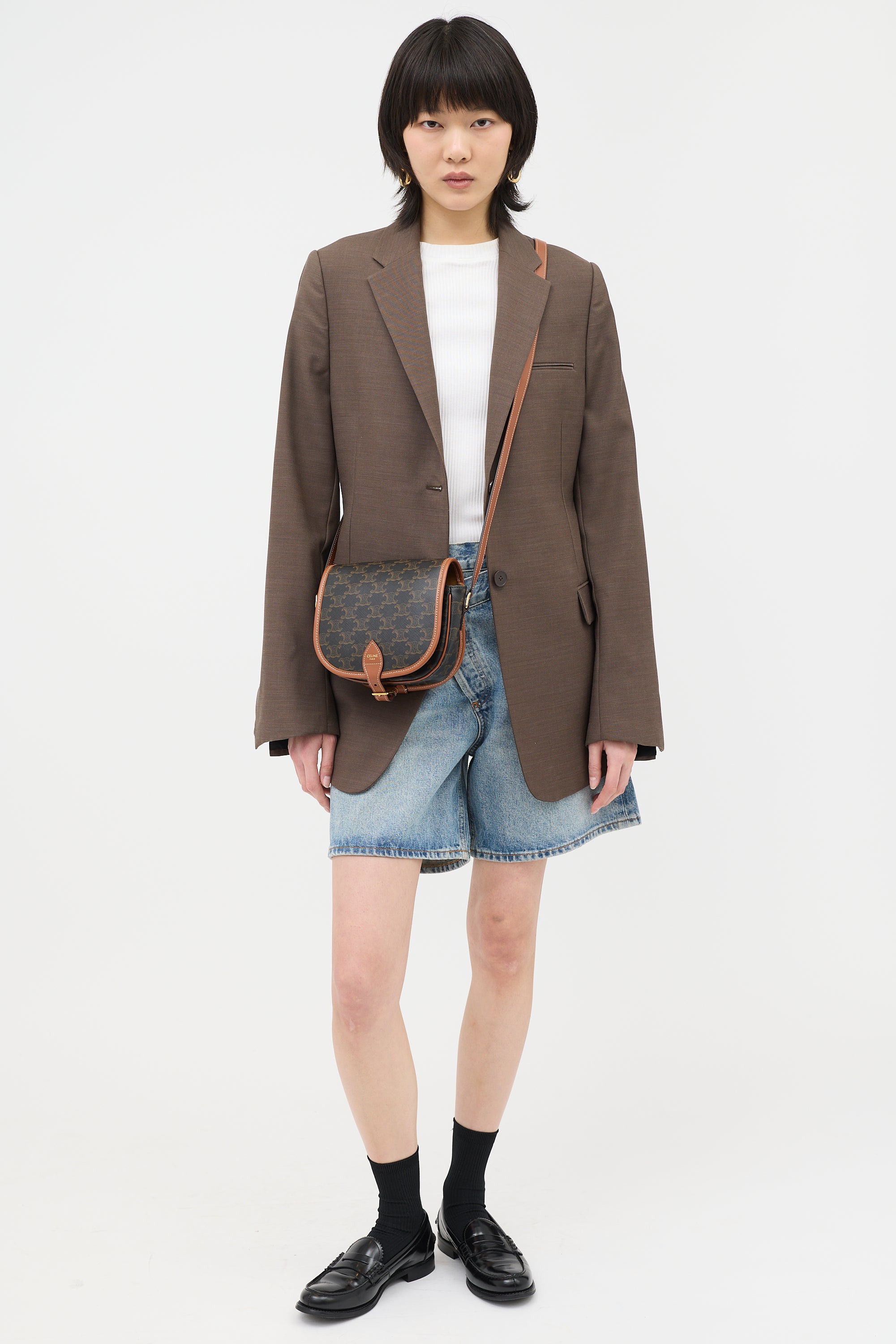 Celine 2023 Triomphe Canvas & Leather Medium Folco Bag