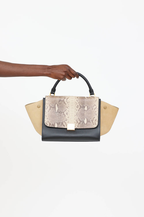 Celine Small Leather Trapeze Bag