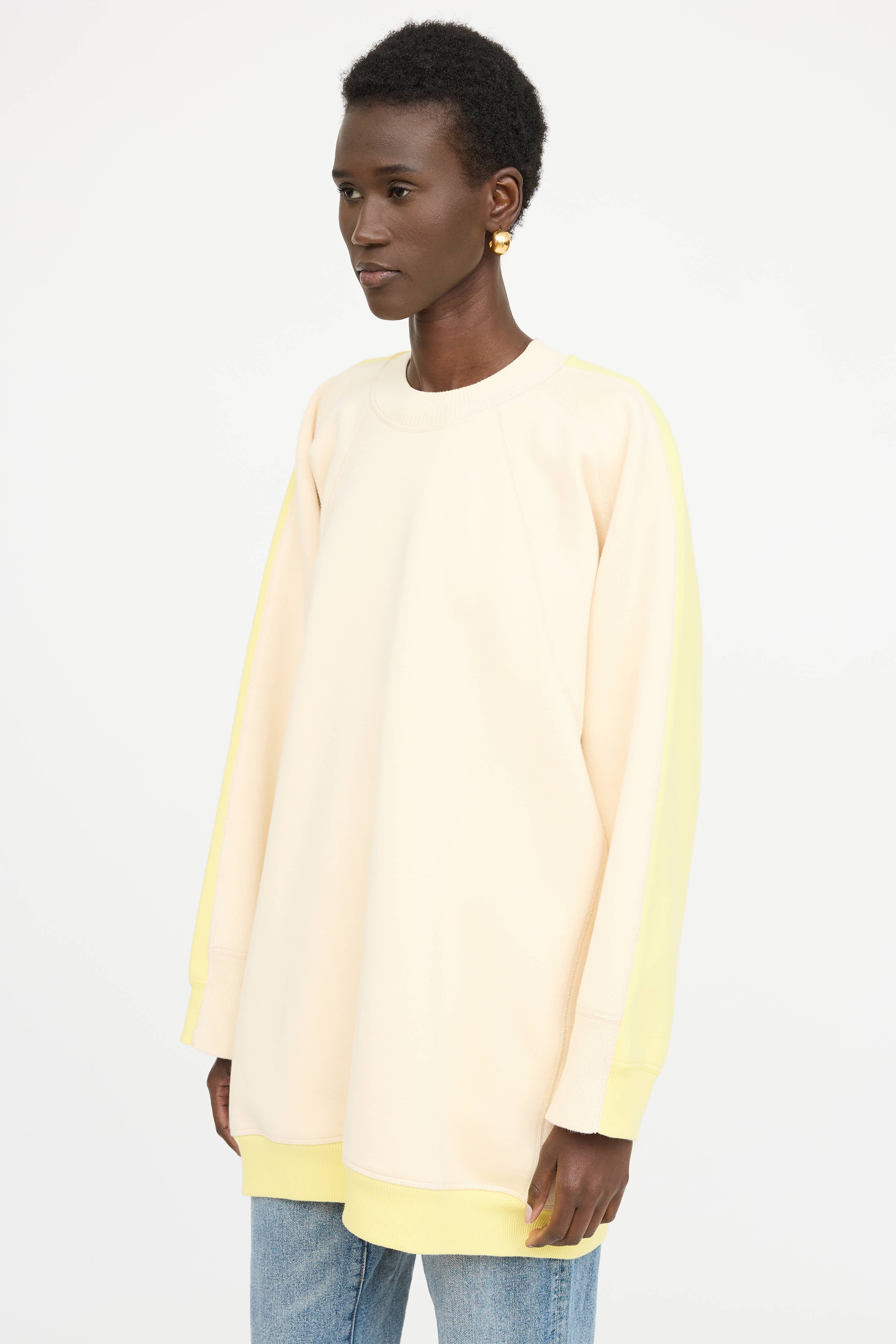 Celine Oversized Colorblock Sweatshirt