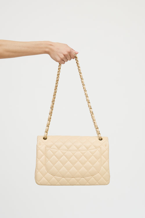 Chanel 2010 Leather Double Flap Bag