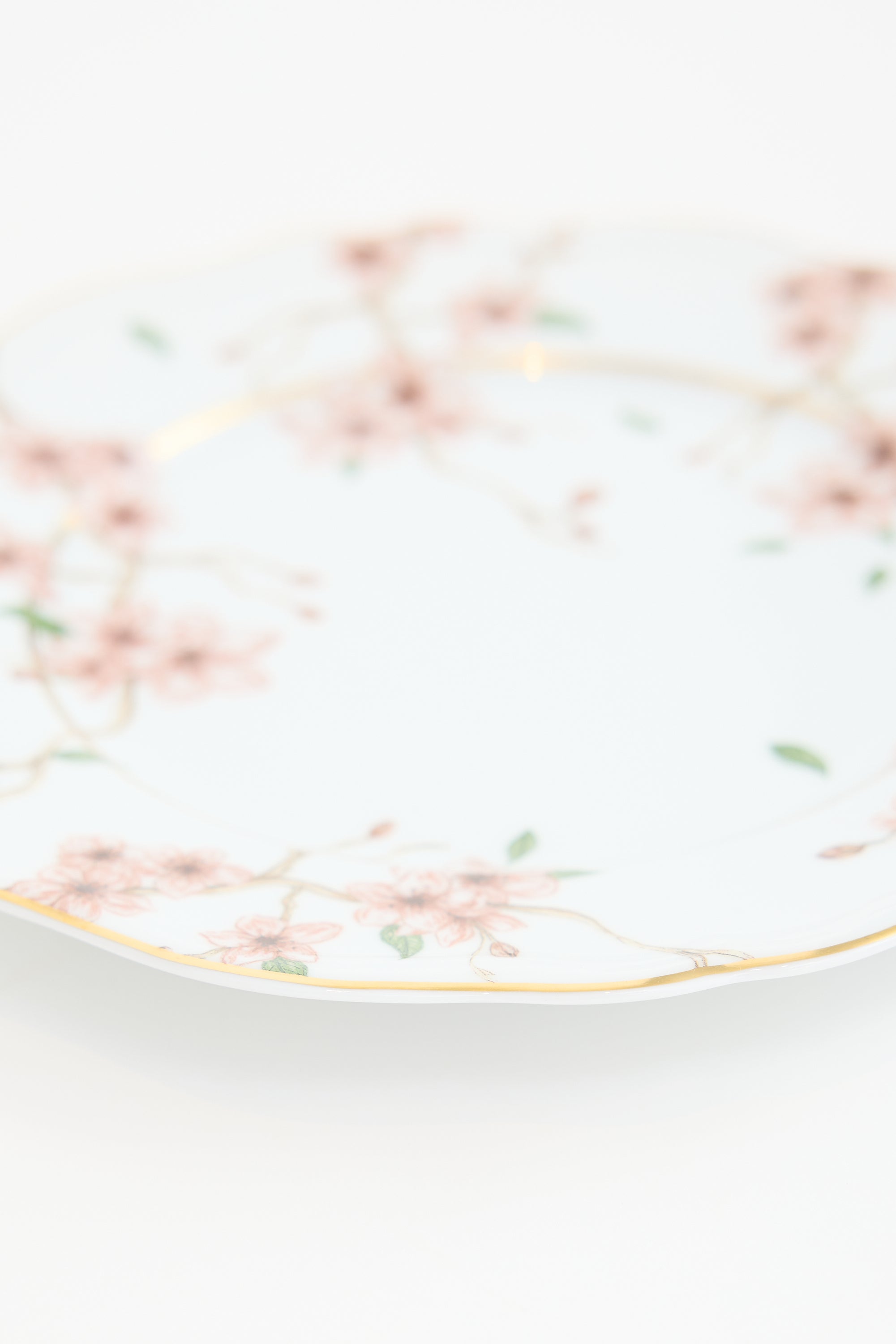 Dior Porcelain Les Cerisiers Desert Plate