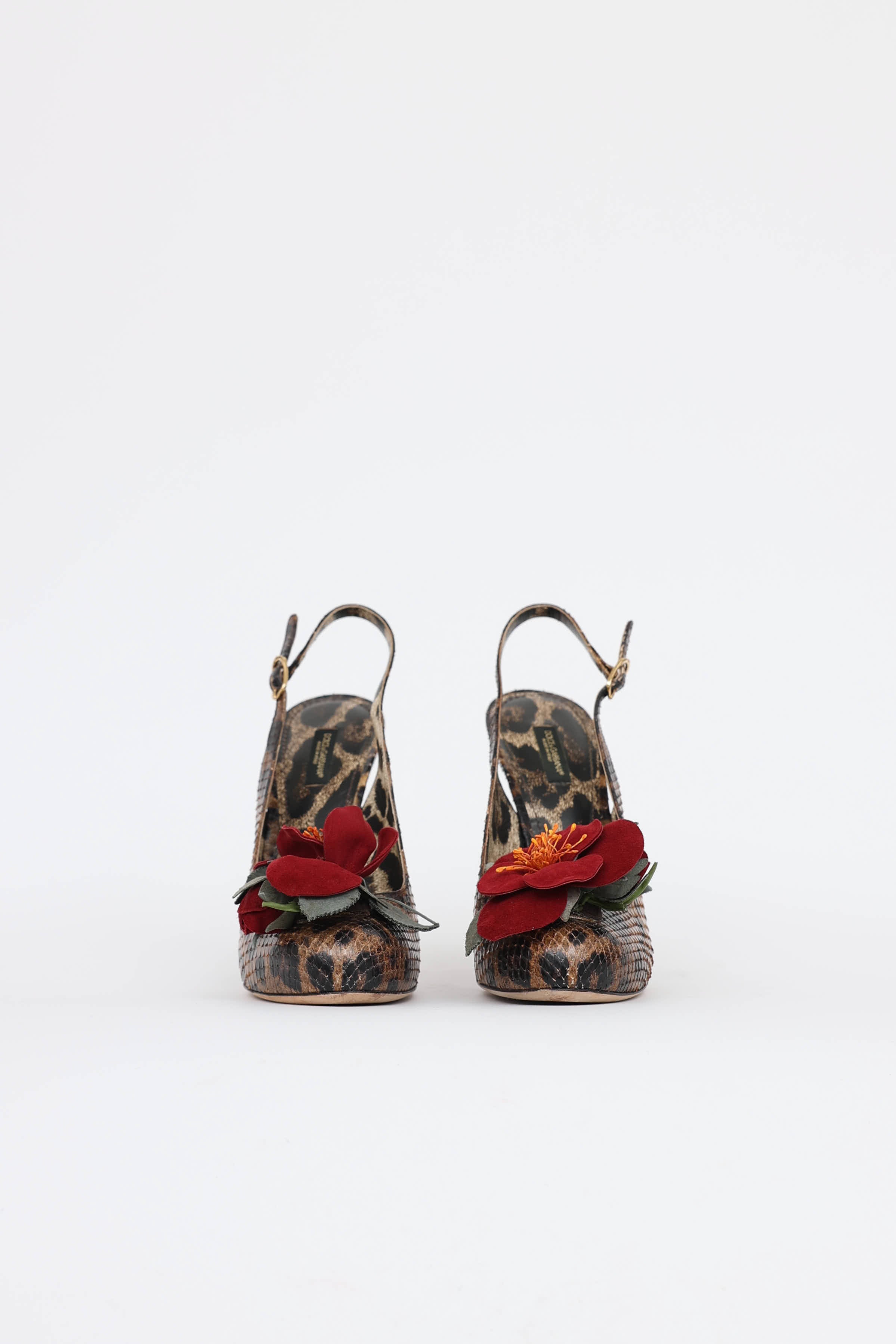 Dolce & Gabbana Python Flower Heel