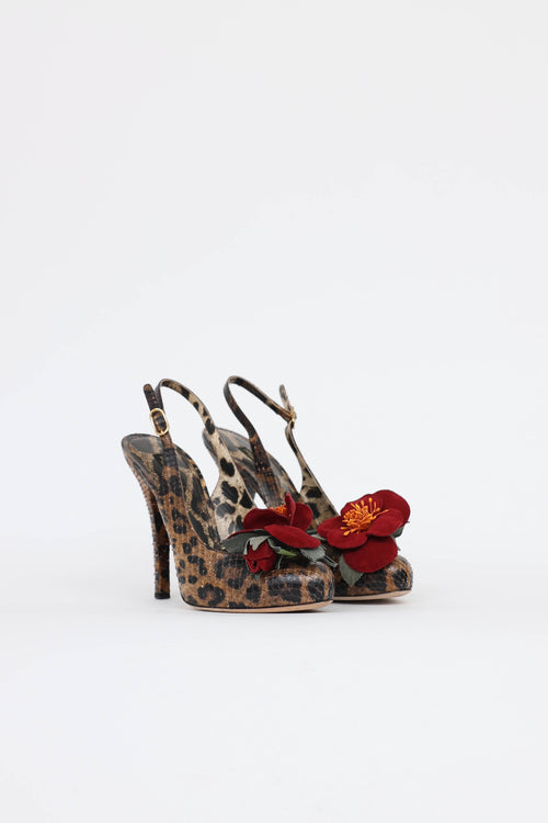 Dolce & Gabbana Python Flower Heel