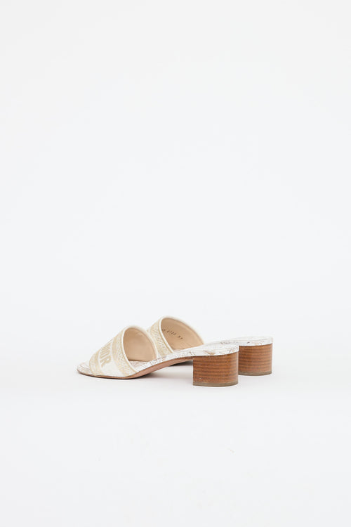 Dior Jardin D'Hiver Dway Sandal