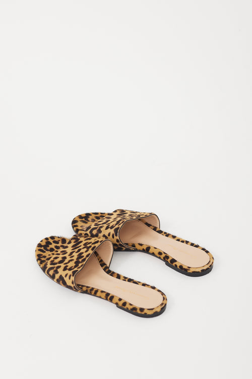 Gianvito Rossi Brown & Beige Patterned Hair Slide