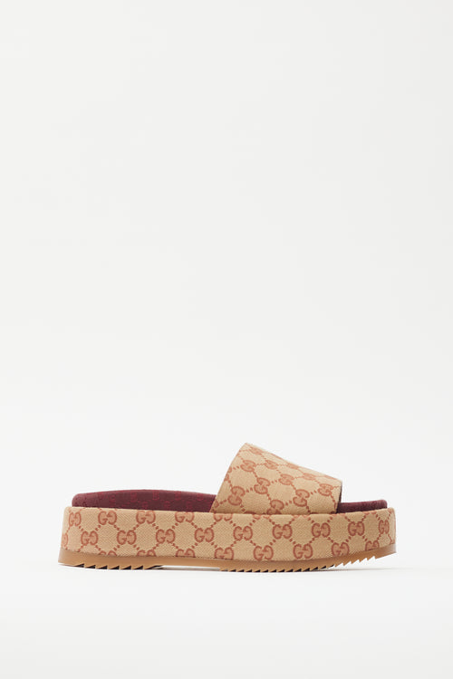 Gucci Brown & Burgundy GG Platform Slide