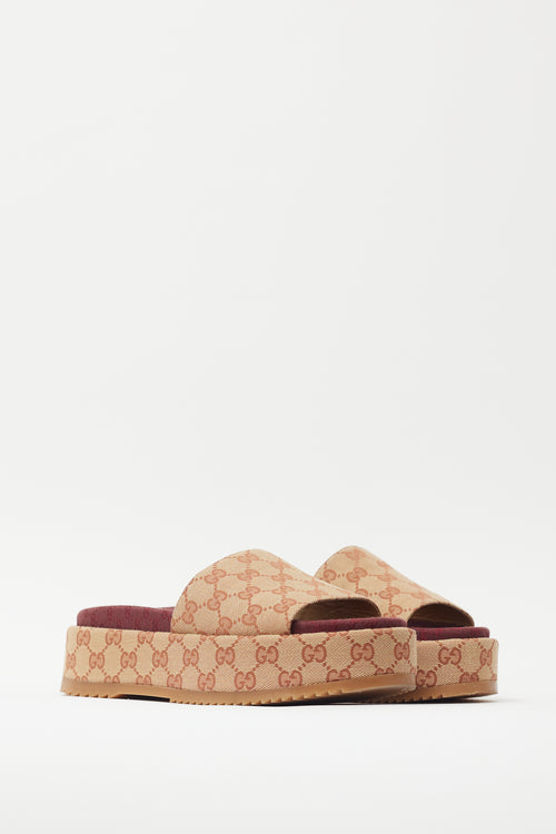 Gucci Brown & Burgundy GG Platform Slide