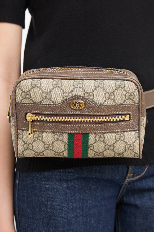 GucciSupreme Web Ophidia Belt Bag
