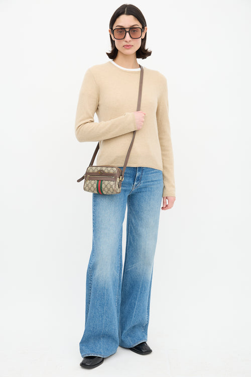 Gucci Brown & Multi GG Supreme Ophidia Mini Crossbody Bag