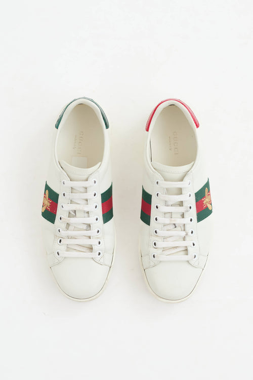 Gucci Ace Web Sneaker