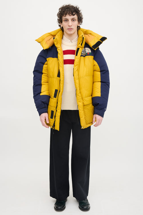 Gucci X The North Face Down & Nylon Jacket