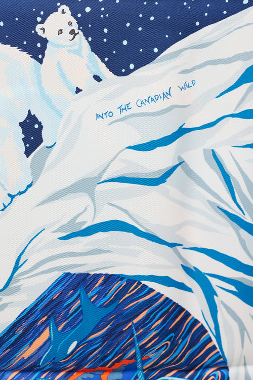 Hermès Blue & Multicolour Into The Canadian Wild 90 Scarf