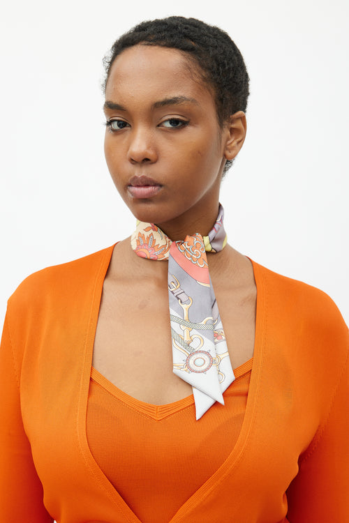 Hermès Grey & Multi Silk Festival des Amazones Print Twilly Scarf