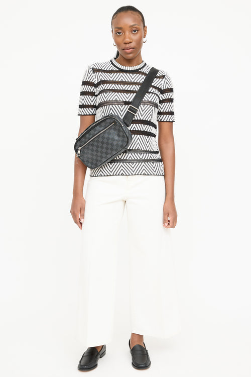 Louis Vuitton Damier Graphite Ambler Bag