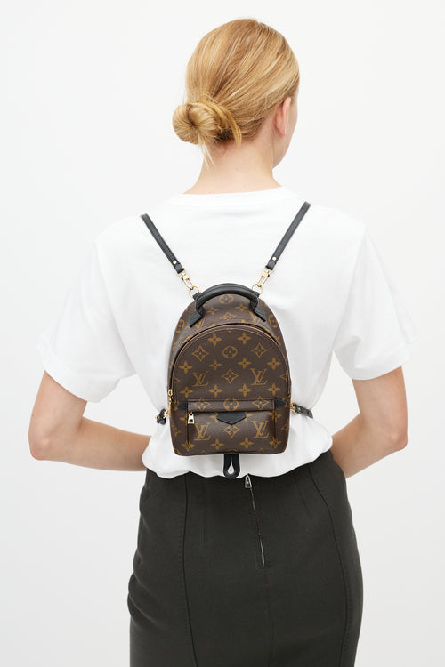 Louis Vuitton Brown & Black Palm Springs Monogram Mini Backpack