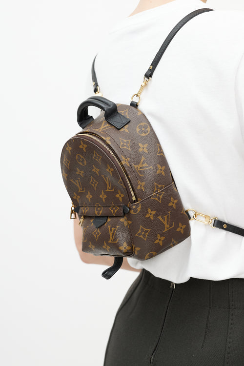 Louis Vuitton Brown & Black Palm Springs Monogram Mini Backpack