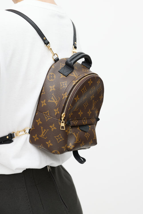Louis Vuitton Brown & Black Palm Springs Monogram Mini Backpack