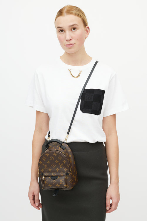 Louis Vuitton Brown & Black Palm Springs Monogram Mini Backpack