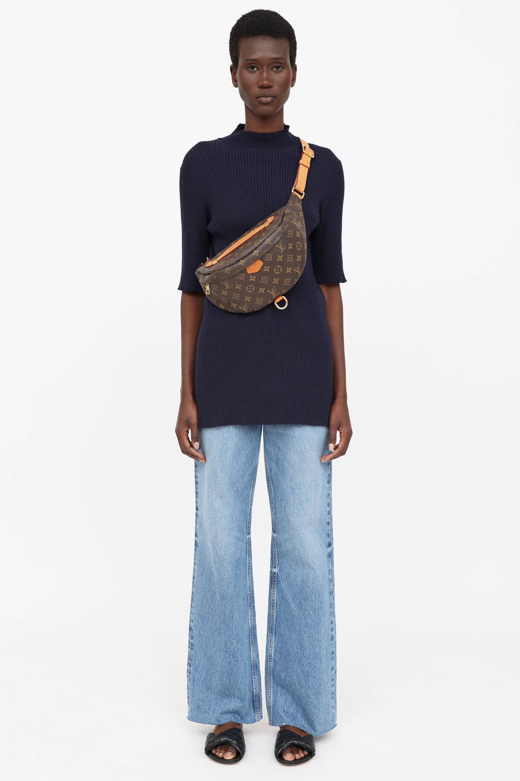 Louis Vuitton 2019 Monogram Bumbag