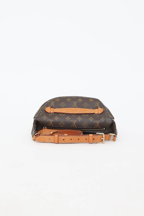 Louis Vuitton 2019 Monogram Bumbag