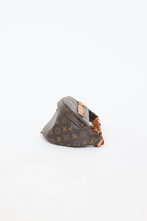 Louis Vuitton 2019 Monogram Bumbag