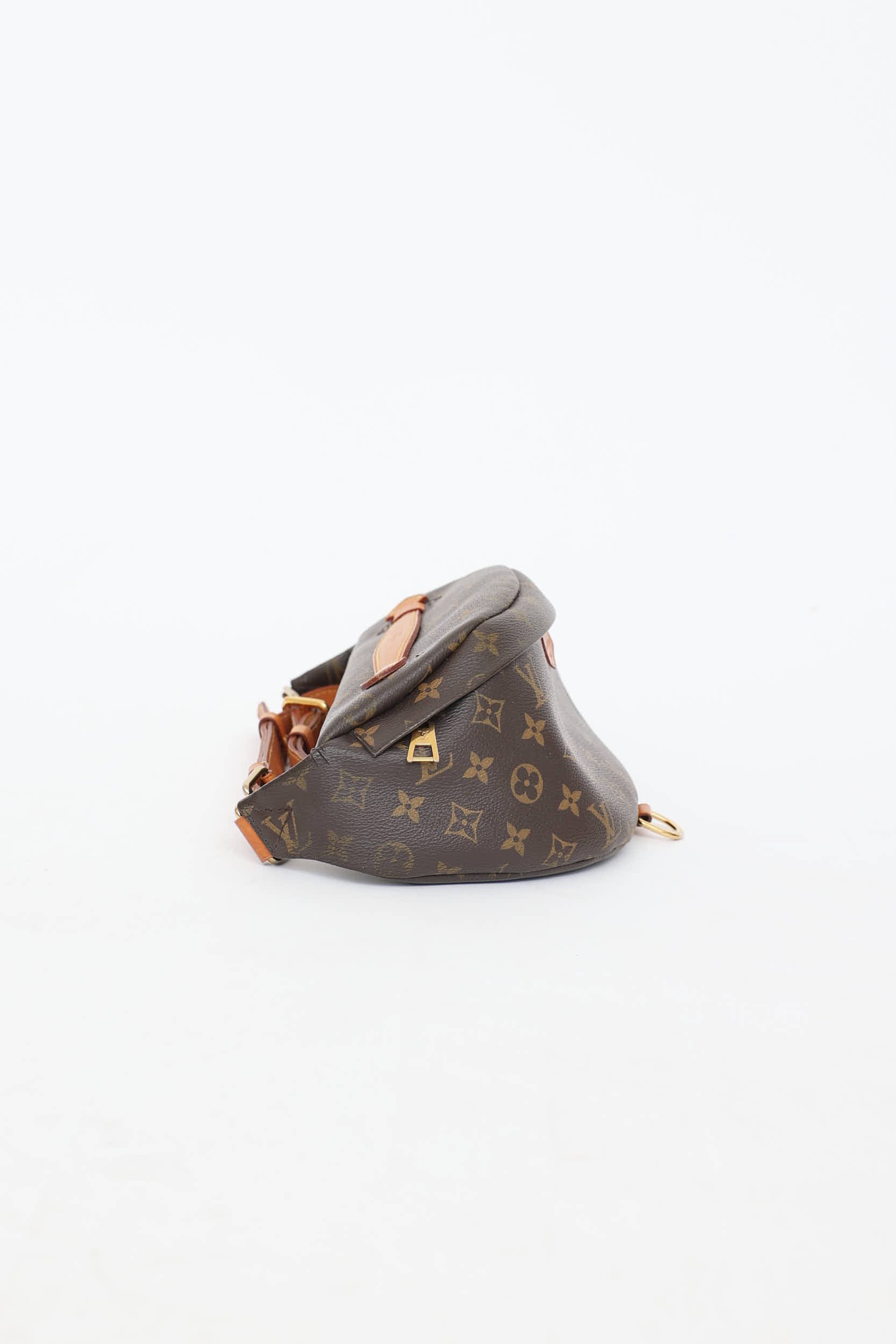 Louis Vuitton 2019 Monogram Bumbag