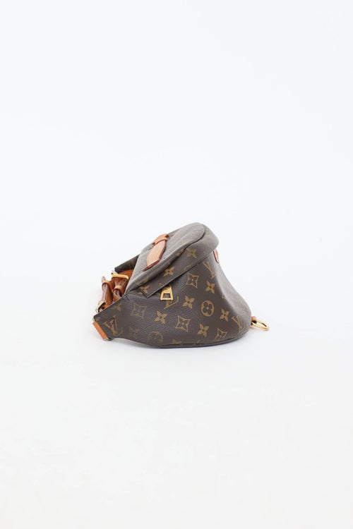 Louis Vuitton 2019 Monogram Bumbag