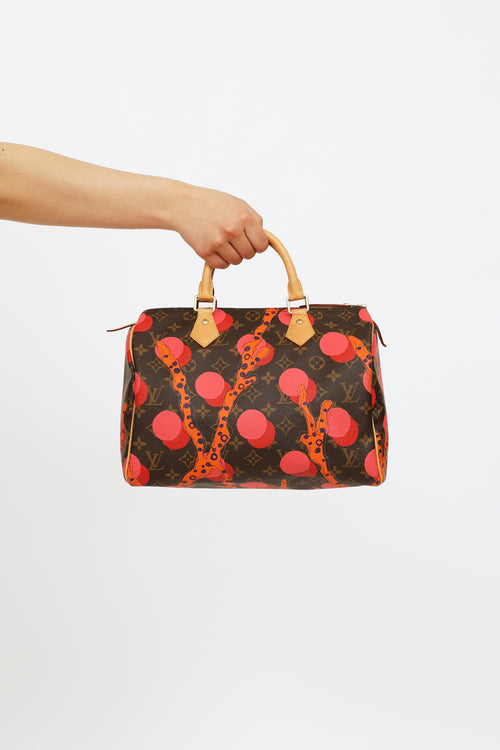 Louis Vuitton 2015 Brown & Multi Monogram Ramages Speedy 30 Bag