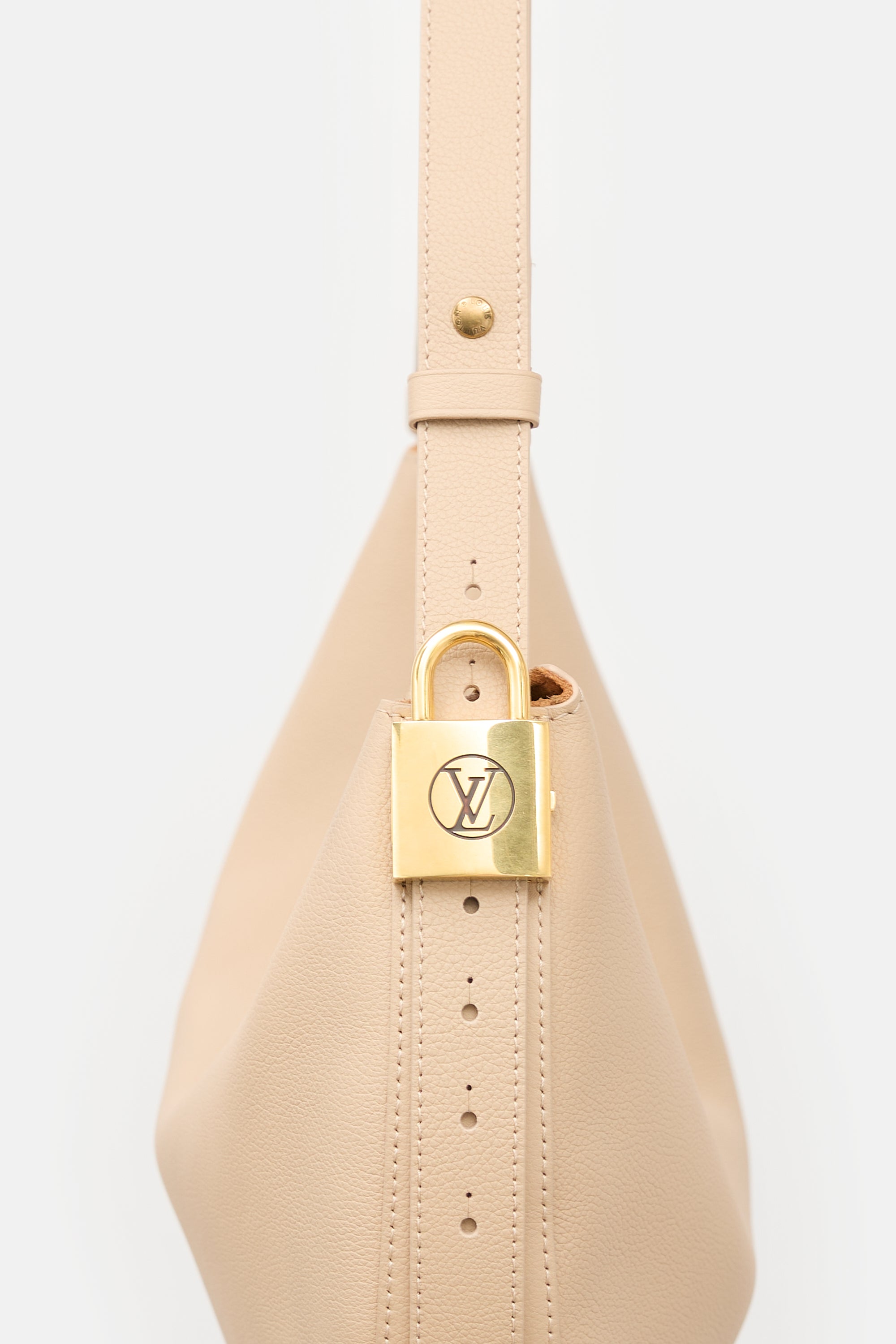 Louis Vuitton Leather Low Key Cookie MM Bag