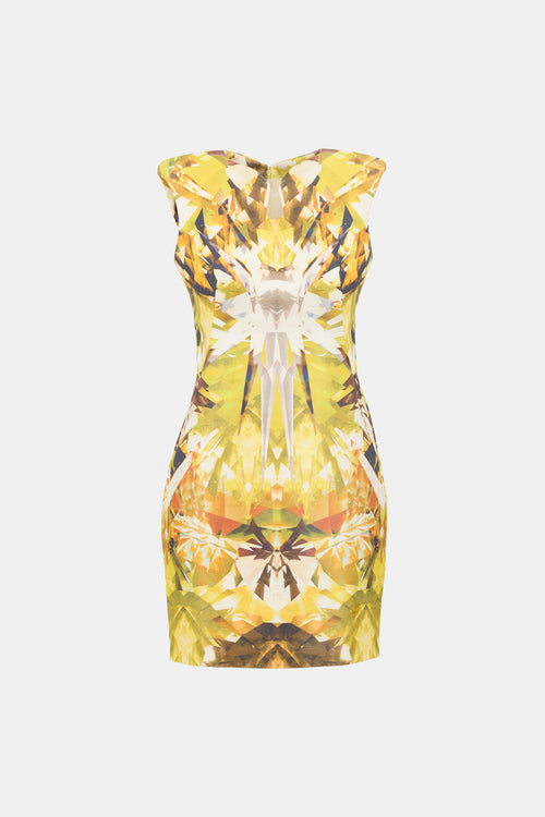 Alexander McQueen SS 2009 Crystal Printed Dress