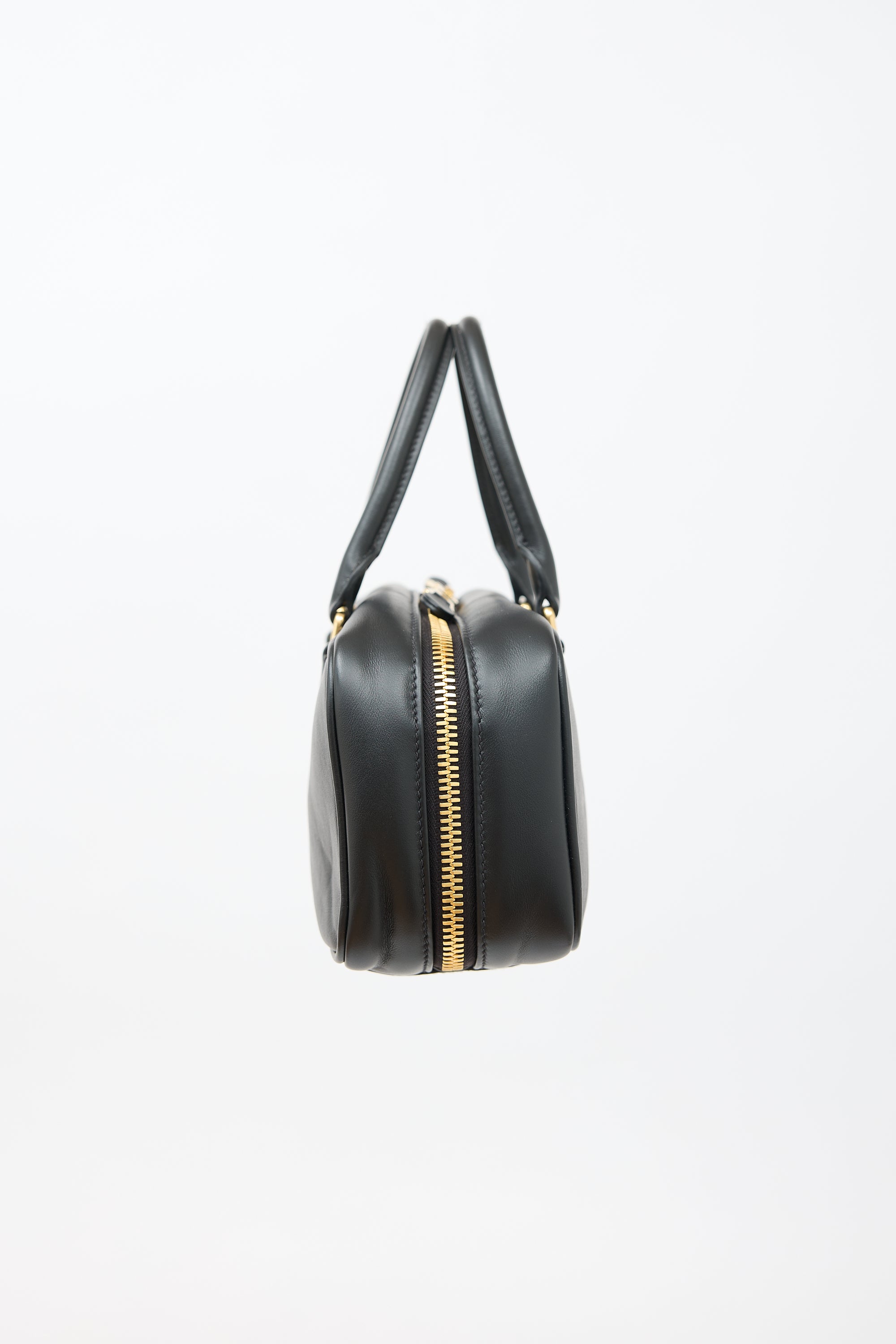 Miu Miu Leather Arcadie Bag