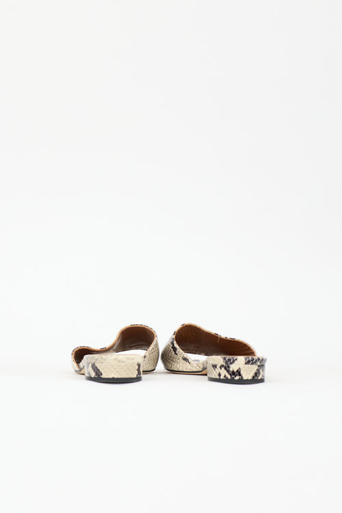 Paris Texas Printed Leather Slide