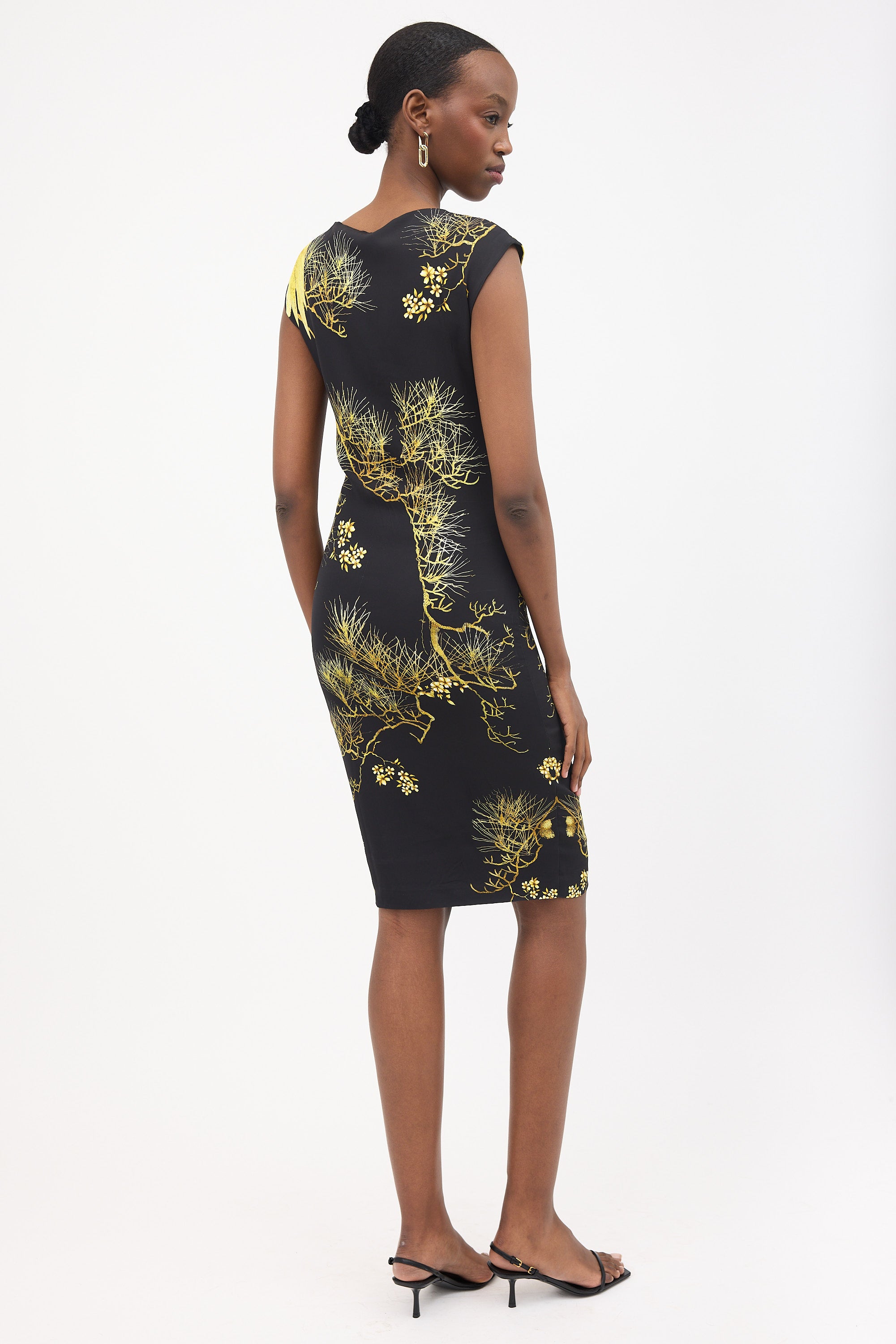 Roberto Cavalli Printed Sheath Dress