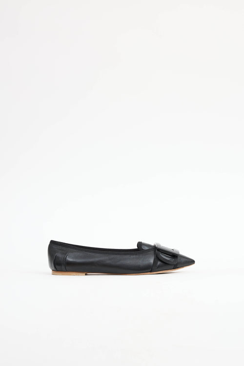 Roger Vivier Gommetine Pointed Flat