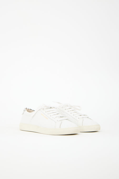 Saint Laurent Leather Andy Low Sneaker