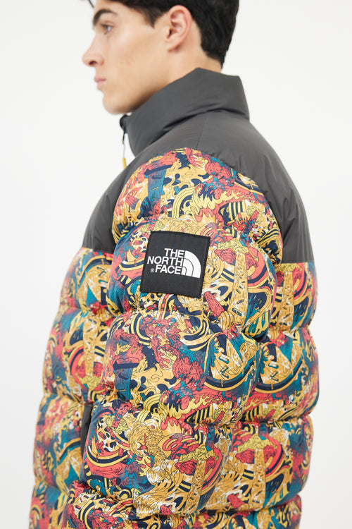 The North Face Black & Multicolour Down Puffer Jacket