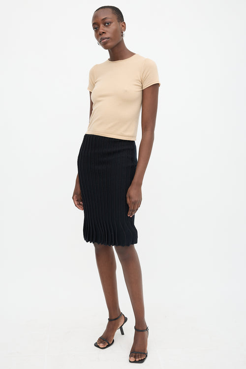Valentino Winter 2008 Wool Gore Skirt