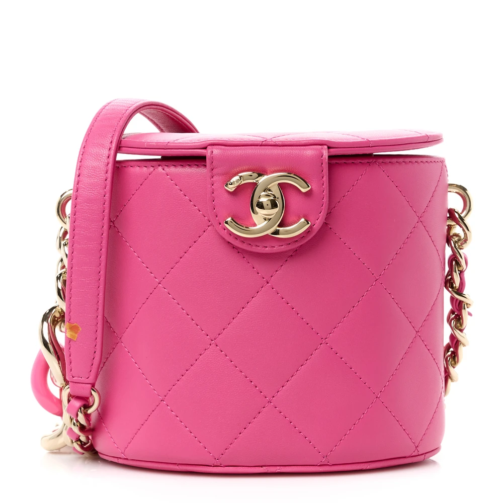 Lushentic Chanel Elegant Chain Vanity Case Small Dark Pink Quilted Lambskin Leather Resin Aged Gold Hardware Front
