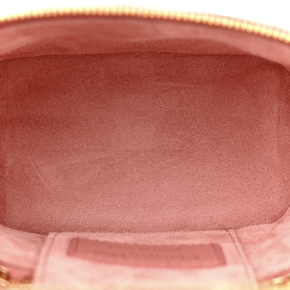Lushentic Grade Bags: Micro Vanity Case in Deep Nude Lambskin Leather - Image 6