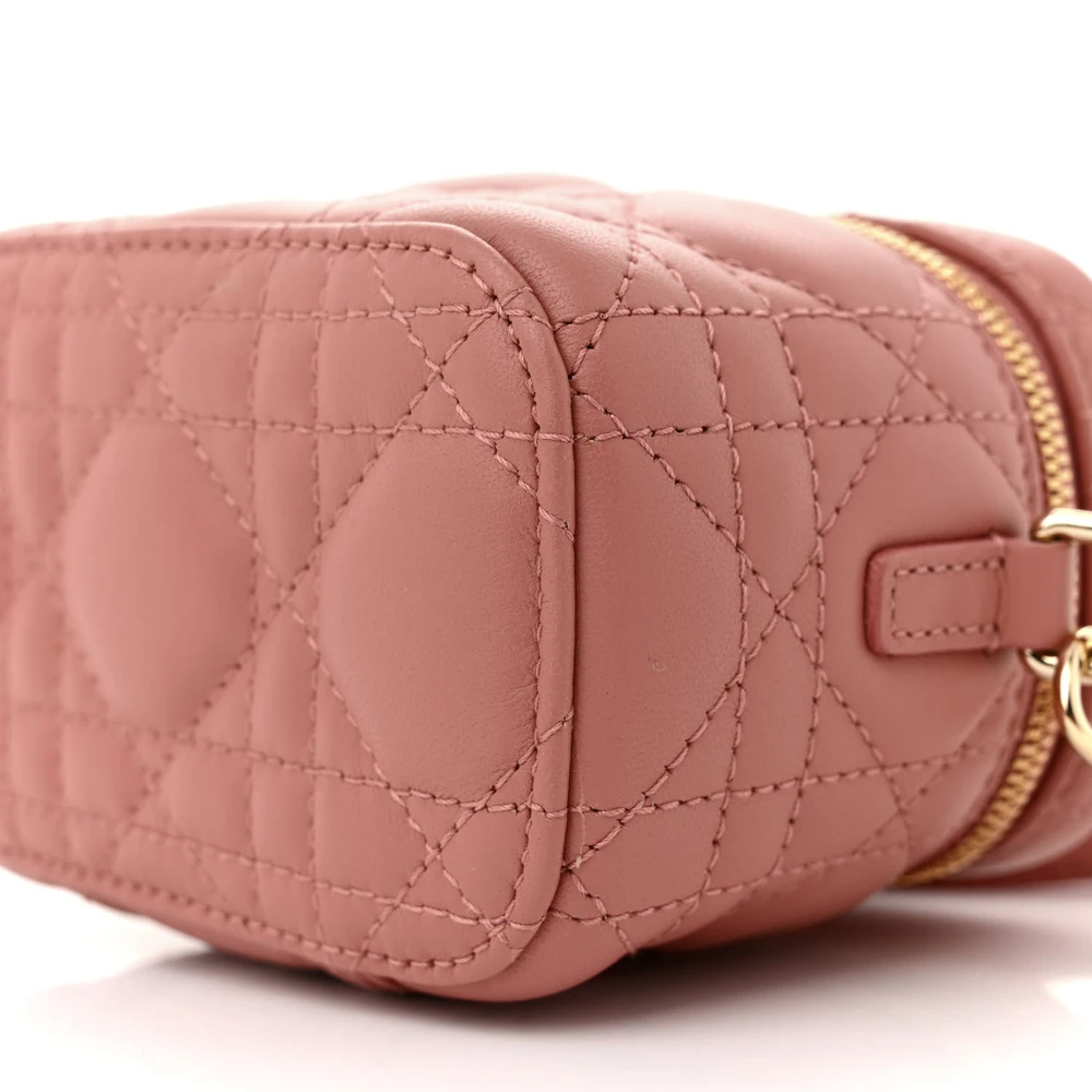 Lushentic Grade Bags: Micro Vanity Case in Deep Nude Lambskin Leather - Image 4