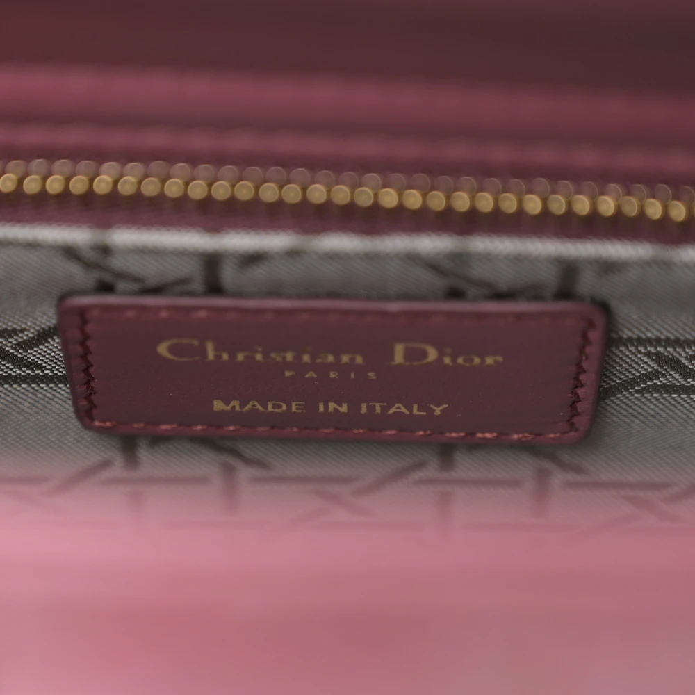 Lushentic Bags Review: My Small ABCDior Lady Dior Pink Honey - Image 2